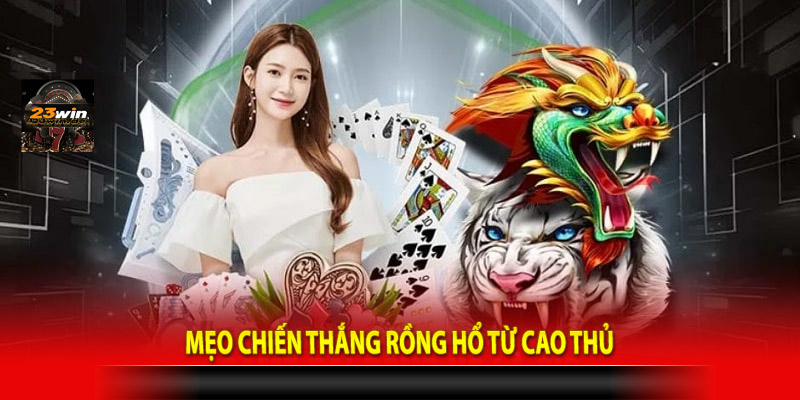 Mẹo chiến thắng rồng hổ từ cao thủ