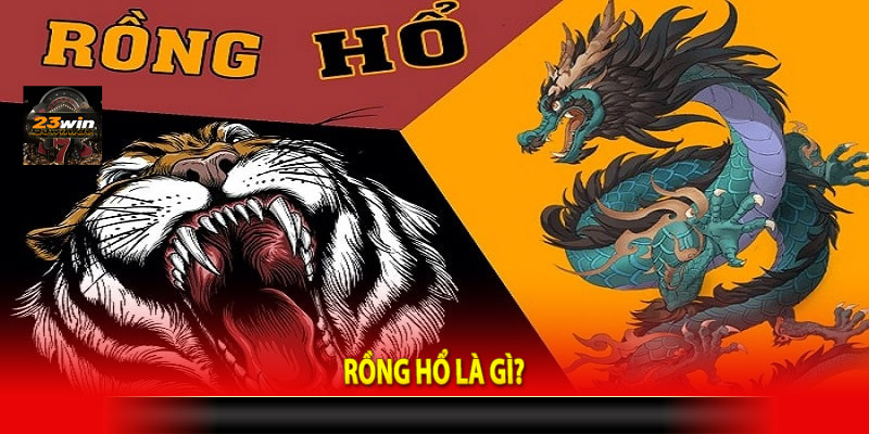 Rồng hổ là gì?